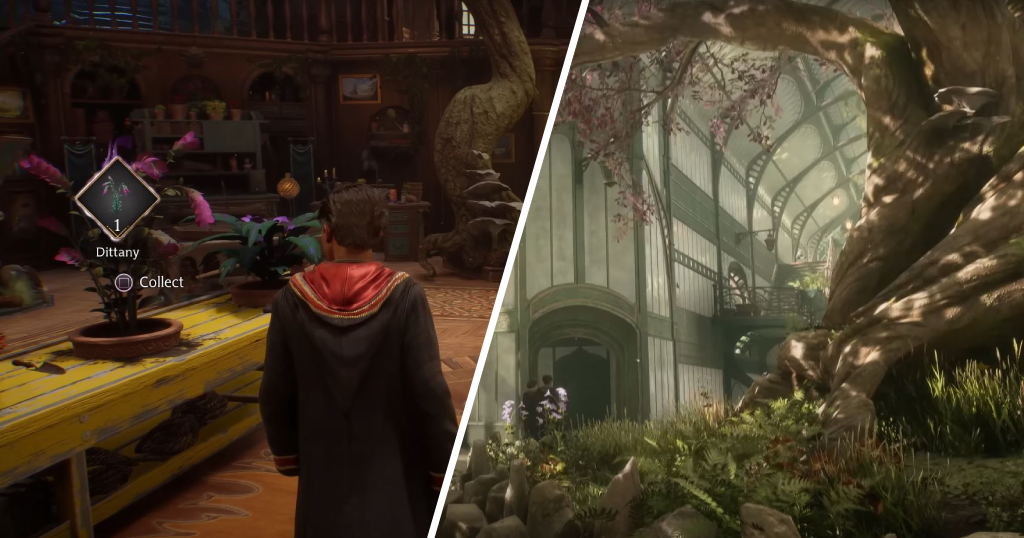 Hogwarts Legacy Plants From Shrivelfigs To Mandrakes! TrendRadars